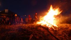 Nachtangeln 2018_73.jpg